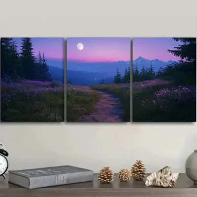 3pcs Path with Moonlit Sky, Wall Art Set Canvas Framed 50x70cm - High Quality Print 100% Australian Made Wall Canvas Ready to Hang