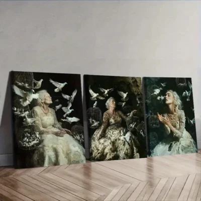 3pcs The trapped bride With Birds Wall Art Set Canvas Framed 40x60cm - High Quality Print 100% Australian Made Wall Canvas Ready to Hang