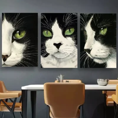3pcsBlack and White Cat Artwork Canvas Framed 50x70cm- High Quality Print 100% Australian Made Wall Canvas Ready to Hang