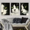 3pcsBlack and White Cat Artwork Canvas Framed 50x70cm- High Quality Print 100% Australian Made Wall Canvas Ready to Hang - Image 2