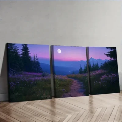 3pcs Mountain Path with Moonlit Sky Wall Art Set Canvas Framed 40x60cm - High Quality Print 100% Australian Made Wall Canvas Ready to Hang