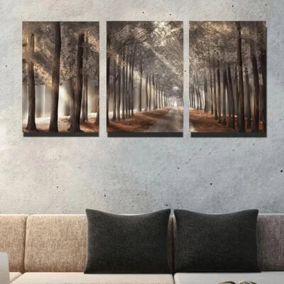 3pcs Forest Landscape Wall Art Set Canvas Framed 40x60cm - High Quality Print 100% Australian Made Wall Canvas Ready to Hang