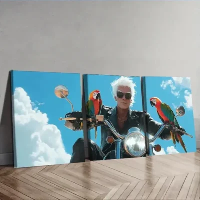 3pcs Featuring a Free Old Man Design Wall Art Set Canvas Framed 50x70cm - High Quality Print 100% Australian Made Wall Canvas Ready to Hang