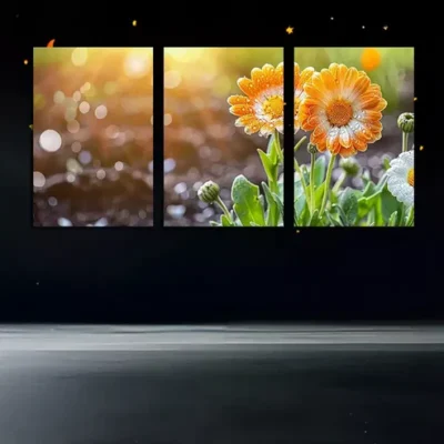 3pc Vibrant Floral Wall Art Set Canvas Framed 50x70cm - High Quality Print 100% Australian Made Wall Canvas Ready to Hang