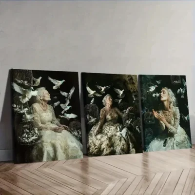 3pcs The trapped bride With Birds Wall Art Set Canvas Framed 50x70cm - High Quality Print 100% Australian Made Wall Canvas Ready to Hang