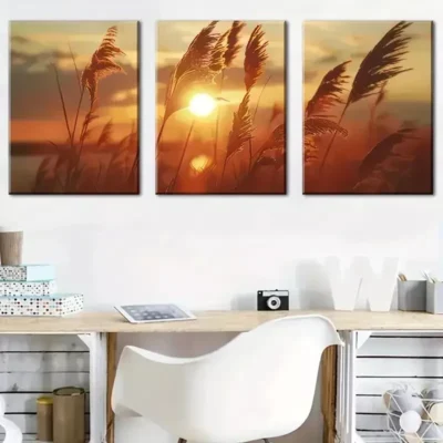 3pcs Nature Grasses & Sunset View Canvas Framed 50x70cm- High Quality Print 100% Australian Made Wall Canvas Ready to Hang