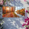 3pcs Roadway In Autumn Canvas Framed 50x70cm- High Quality Print 100% Australian Made Wall Canvas Ready to Hang - Image 3