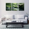 3pcs Green moss Black pebble wading Realistic  Wall Art Set Canvas Framed 50x70cm - High Quality Print 100% Australian Made Wall Canvas Ready to Hang