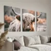 3pcs Hairy Highland Cow Wall Art Set Canvas Framed 50x70cm - High Quality Print 100% Australian Made Wall Canvas Ready to Hang
