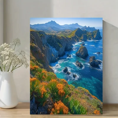 Vibrant Channel Islands National Park Wall Art Canvas Framed 40x60