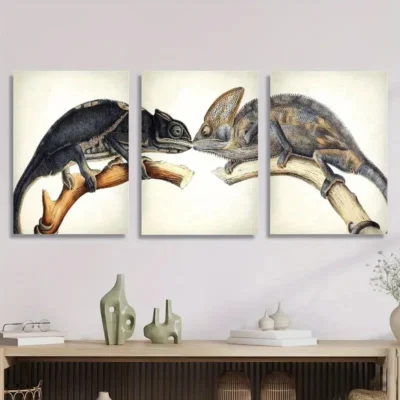 3pcs A Lizard And A Chameleon Wall Art Set Canvas Framed 40x60cm - High Quality Print 100% Australian Made Wall Canvas Ready to Hang