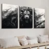 3pcs Black and White Monochrome Animal Lion  Wall Art Set Canvas Framed 40x60cm - High Quality Print 100% Australian Made Wall Canvas Ready to Hang