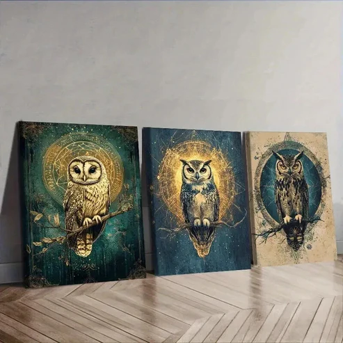 3pcs Classic Modern Owl Wall Art Set Canvas Framed 50x70cm – High Quality Print 100% Australian Made Wall Canvas Ready to Hang