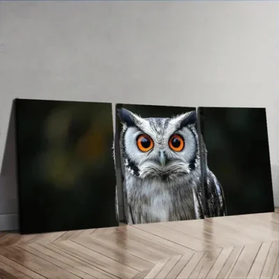 3pcs A photo of an owl with orange eyes Wall Art Set Canvas Framed 50x70cm - High Quality Print 100% Australian Made Wall Canvas Ready to Hang