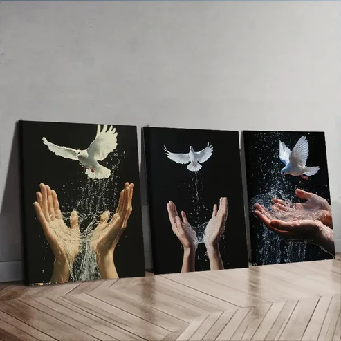 3pcs Pigeon on Hand Design Wall Art Set Canvas Framed 40x60cm – High Quality Print 100% Australian Made Wall Canvas Ready to Hang