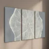 3pcs Simple Tree Growth Ring Illustration Wall Art Set Canvas Framed 40x60cm - High Quality Print 100% Australian Made Wall Canvas Ready to Hang - Image 2