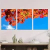 3pcs Colorful Fall Foliage with Blue Sky Vibrant Wall Art Set Canvas Framed 50x70cm - High Quality Print 100% Australian Made Wall Canvas Ready to Hang