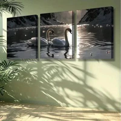 3pcs Water Swan Nature Wall Art Set Canvas Framed 50x70cm - High Quality Print 100% Australian Made Wall Canvas Ready to Hang