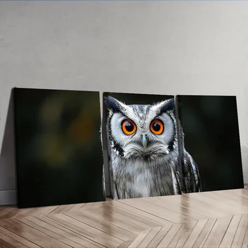 3pcs A photo of an owl with orange eyes Wall Art Set Canvas Framed 40x60cm – High Quality Print 100% Australian Made Wall Canvas Ready to Hang