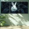 3pcs White rabbit, crow Wall Art Set Canvas Framed 50x70cm - High Quality Print 100% Australian Made Wall Canvas Ready to Hang