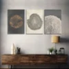 3pcs Pastel Grunge Wood Tree Rings Abstract Wall Art Set Canvas Framed 50x70cm - High Quality Print 100% Australian Made Wall Canvas Ready to Hang - Image 2