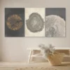 3pcs Pastel Grunge Wood Tree Rings Abstract Wall Art Set Canvas Framed 50x70cm - High Quality Print 100% Australian Made Wall Canvas Ready to Hang - Image 3