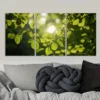 3pcs Vibrant Green Foliage with Golden Sunlight Wall Art Set Canvas Framed 40x60cm - High Quality Print 100% Australian Made Wall Canvas Ready to Hang