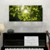 3pcs Vibrant Green Foliage with Golden Sunlight Wall Art Set Canvas Framed 40x60cm - High Quality Print 100% Australian Made Wall Canvas Ready to Hang - Image 3