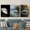 3pcs Elegant White Swans in Serene Water Scenes Wall Art Set Canvas Framed 50x70cm - High Quality Print 100% Australian Made Wall Canvas Ready to Hang - Image 3